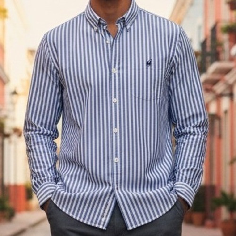 American Eagle Outfitters Shirt Mens Classic Fit Blue‎ Stripe Long Sleeve Size L